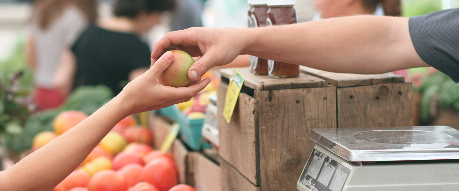 Seguros para empresas